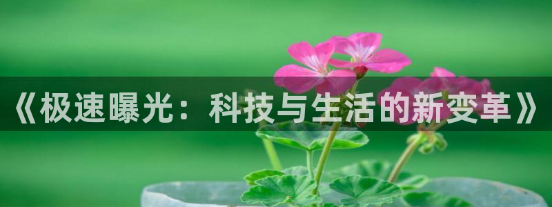 黑料吃瓜网app免费：《极速曝光：科技与